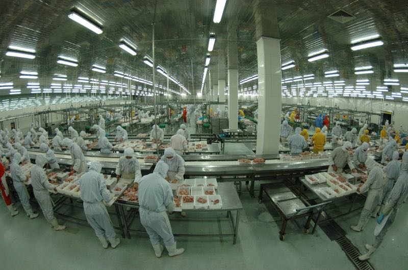 青島先優(yōu)食品丨雞排加工丨雞排批發(fā)丨雞排廠家丨雞排加盟